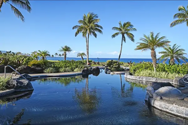 Resort Style Pool Paradise