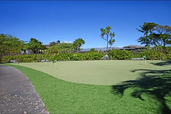 Lush Tropical Putting Green
