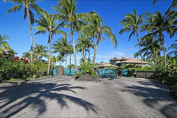Palm Lined Resort Drive