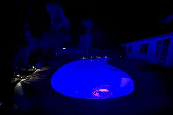 Night pool glows blue beside dark garden silhouettes and home