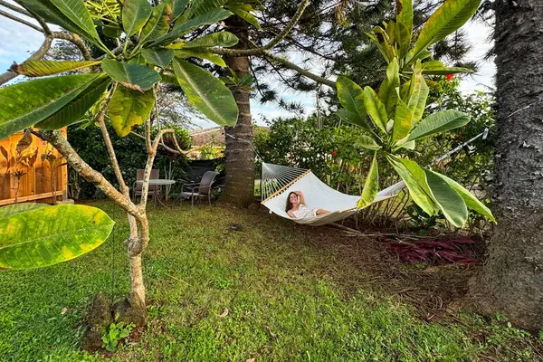 Shaded garden hammock rests beneath tropical trees beside resort grounds