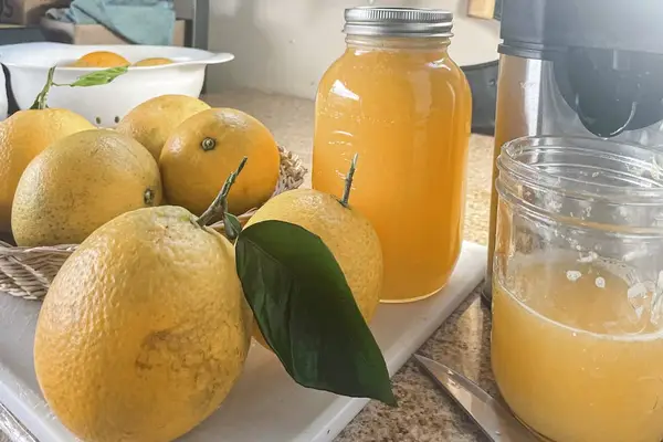 Fresh Island Fruit Welcome