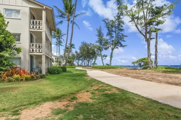 Scenic Oceanside Walking Paths Beckon Exploration