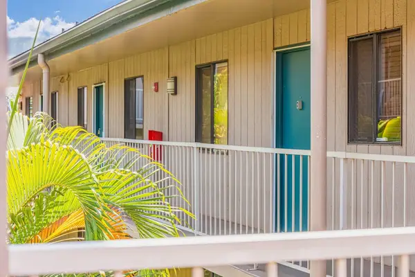 Tropical Courtyard Leading To Your Stay