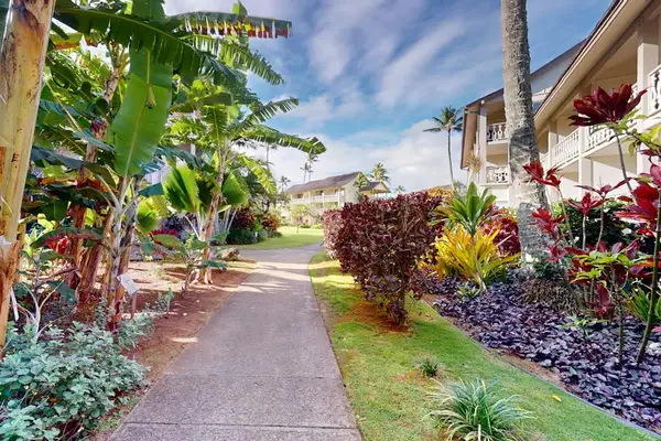 Stroll Through Tropical Paradise