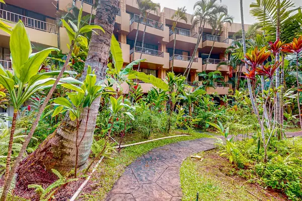 Lush Tropical Garden Escape