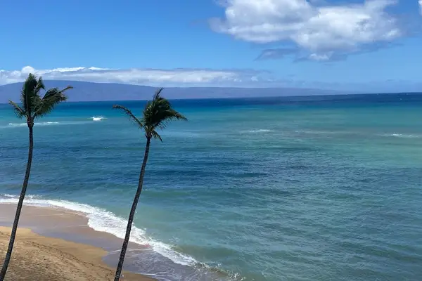 Palm Framed Oceanfront Paradise