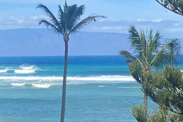 Island Views Framed By Swaying Palms