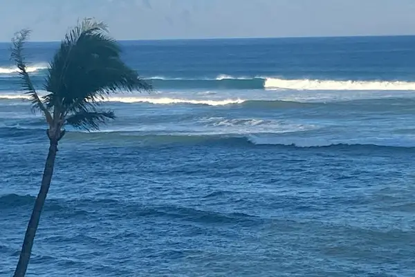 Wake Up To Rolling Ocean Waves