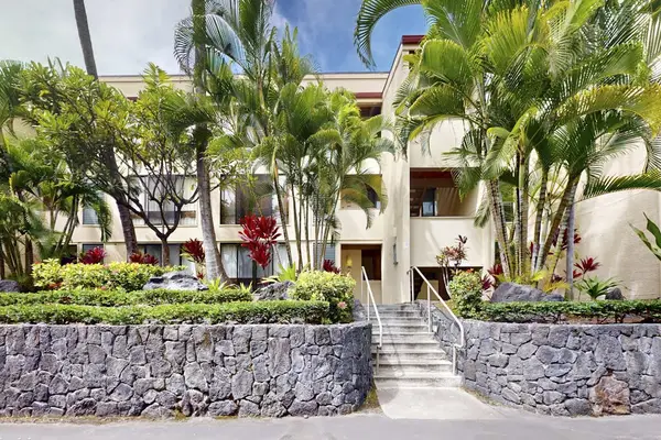 Main Entrance Pathway with Stone Retaining Walls, Tropical Palms, and Outdoor Steps