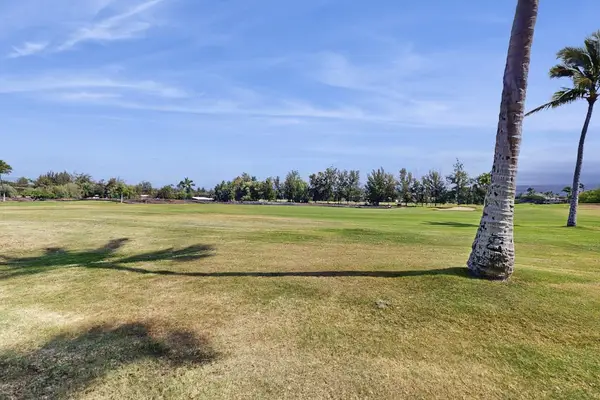 Expansive Oceanfront Lawn To Explore