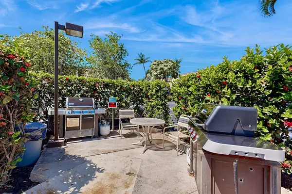 Outdoor barbecue station supports flavorful gatherings beside vibrant tropical plantings
