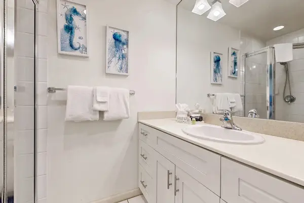 Full Bathroom details include polished fixtures towels and counter space