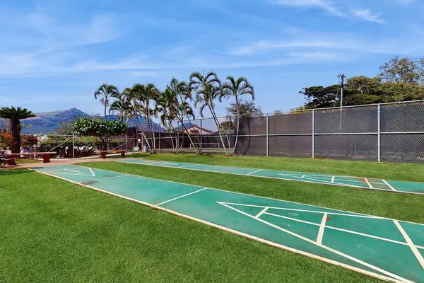 Championship Tennis Court Fun