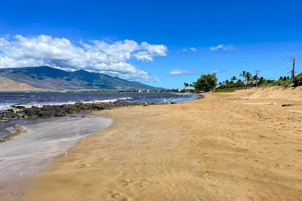Scenic Beachfront Morning Walks