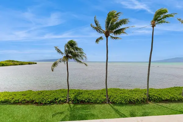 Seaside lawn displays swaying palms and unobstructed blue Pacific scenery