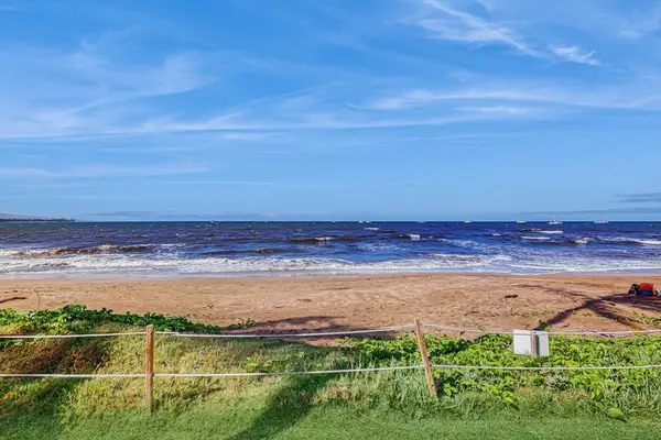 Step onto the soft sands of Sugar Beach, where miles of golden shoreline, gentle waves, and breathtaking ocean views create the perfect Maui beach experience.