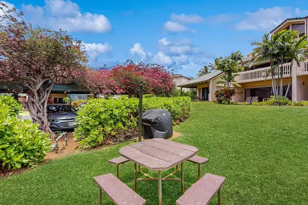 Front yard with mature trees for natural beauty