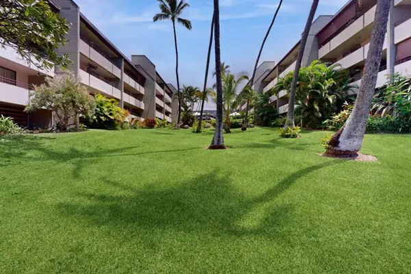 Lush Tropical Courtyard Lawn