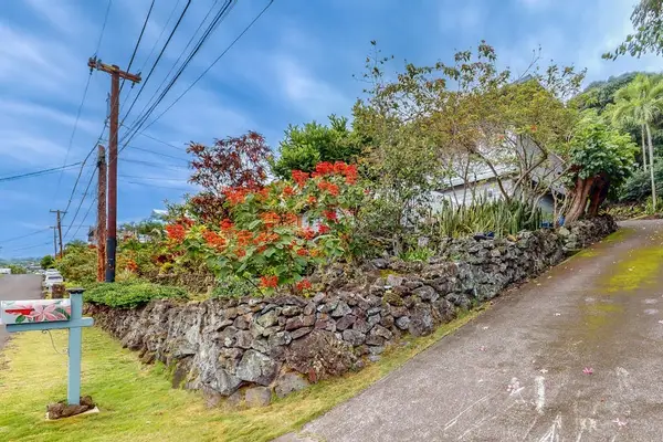 Colorful garden borders the walkway with tropical plants and surroundings