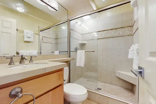 Walk In Shower With Modern Vanity
