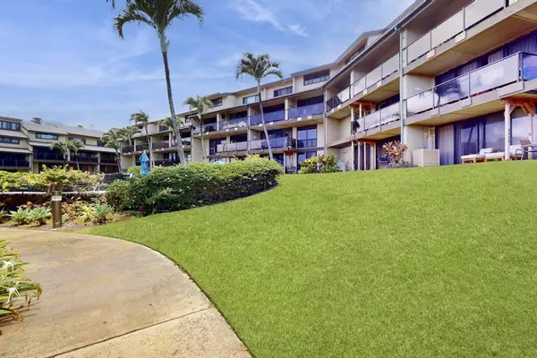 Tranquil Walking Paths Across Expansive Emerald Lawns