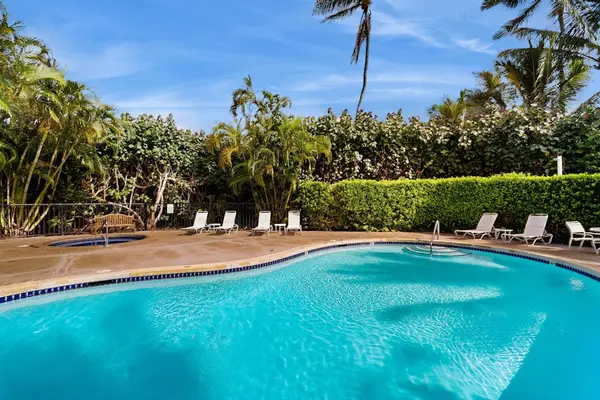 Take a Refreshing Dip in the Pool