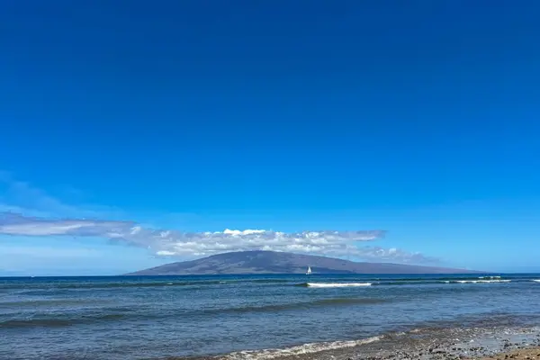 Discover Maui's rugged coastline.
