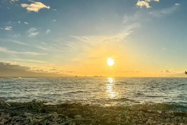 Golden sunsets by the shore.
