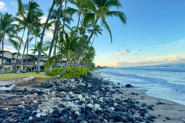 Explore Maui's scenic coastline.