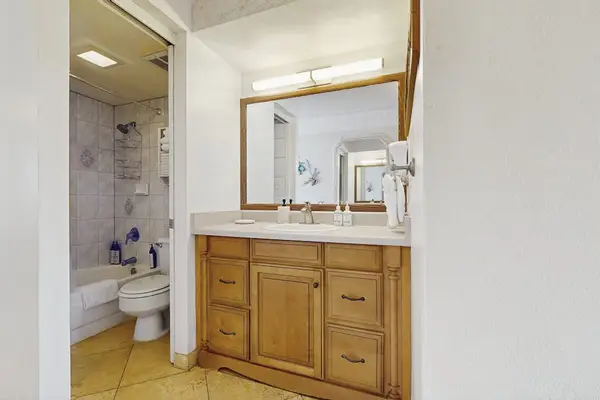 Spa-Inspired Full Bathroom