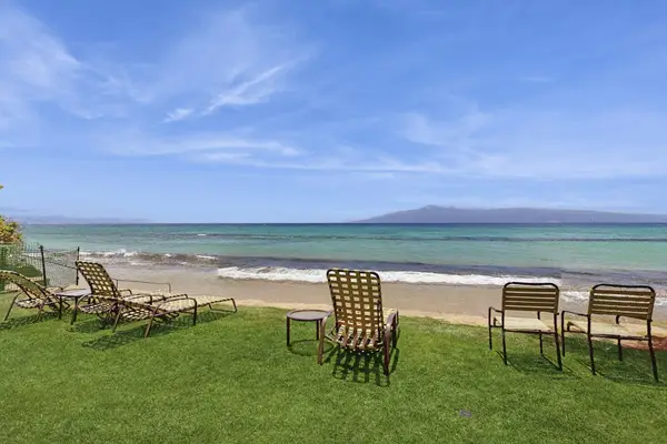 Front-Row Seats To Paradise