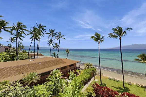 Elevated Ocean Views To Remember