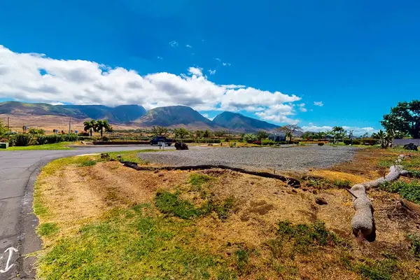 Take in sweeping views of Maui's stunning mountain landscape.