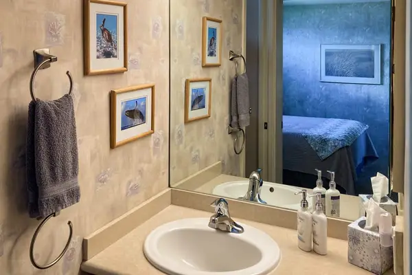 Fresh Coastal Bathroom With Vanity