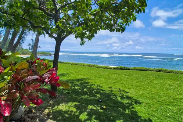 Oceanfront Lawn Under Tropical Trees