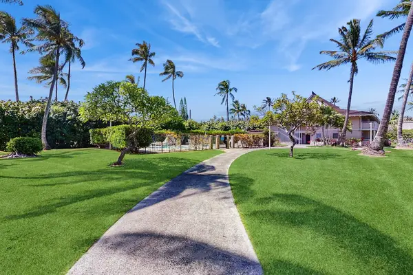 Palm-Lined Walk To Paradise
