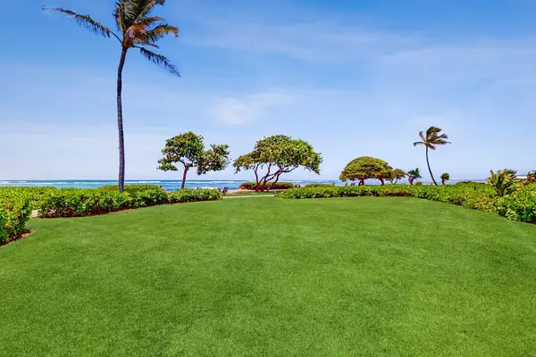 Lush grassy lawns surrounded by beautiful tropical trees create a peaceful island setting.