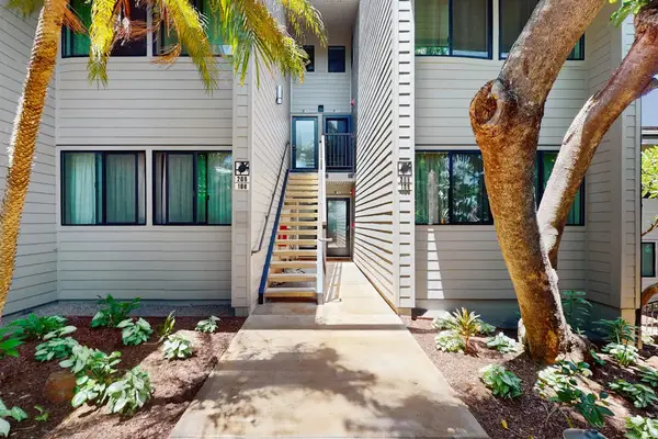 Lush Tropical Courtyard Entrance