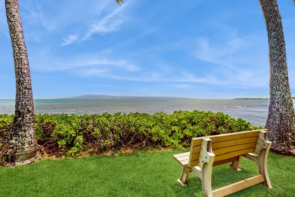 Lawn bench faces ocean views between palm trees and greenery