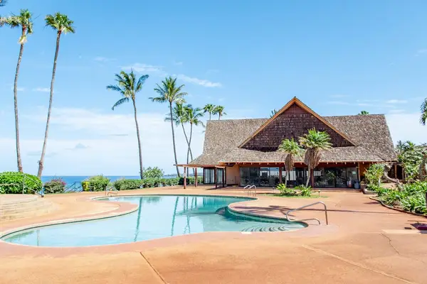 Pool area features pavilion, palms, ocean horizon, and tropical surroundings