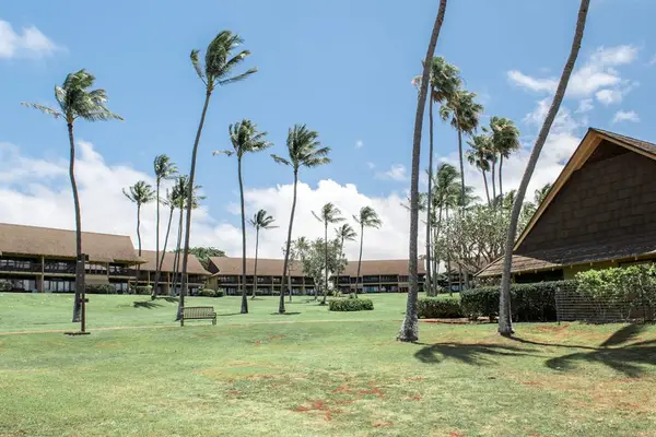 Resort grounds feature palms, lawn, pavilion, and outdoor recreation areas