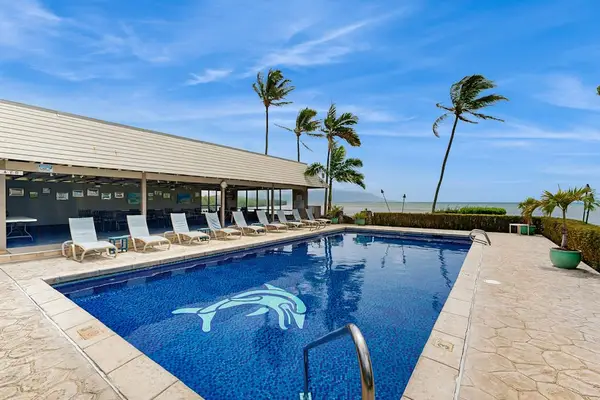 Shared pool overlooks palm trees and ocean beneath island skies