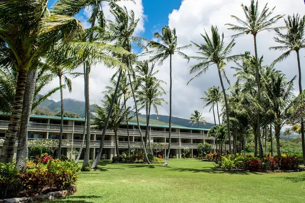 Palm-lined resort grounds frame low buildings, gardens, and mountain scenery