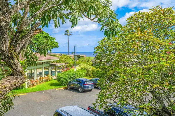 Exterior residence nestles among palms beside convenient guest parking spaces
