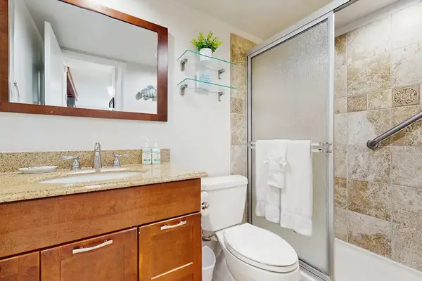 Elegant Bathroom With Walk In Shower