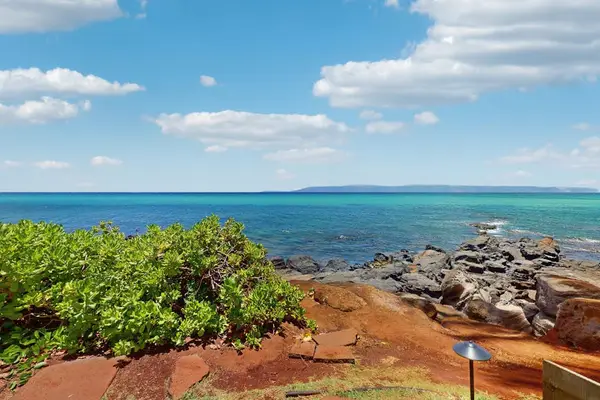 Where Tropical Gardens Meet The Sea