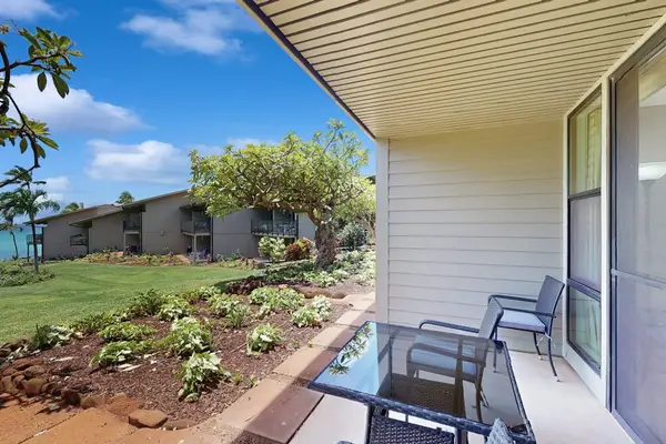 Private Patio Garden Escape