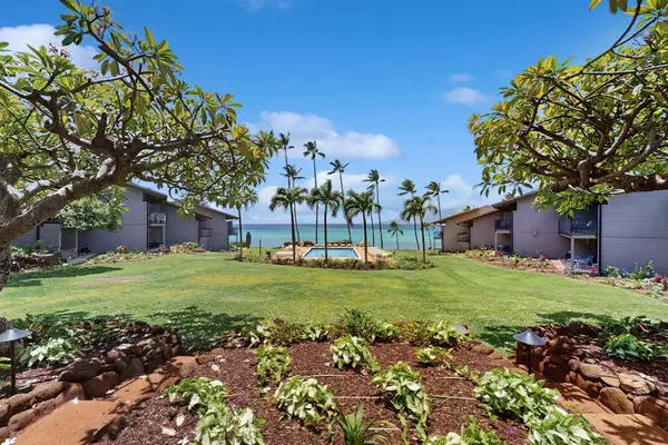 Tropical Courtyard With Ocean Views