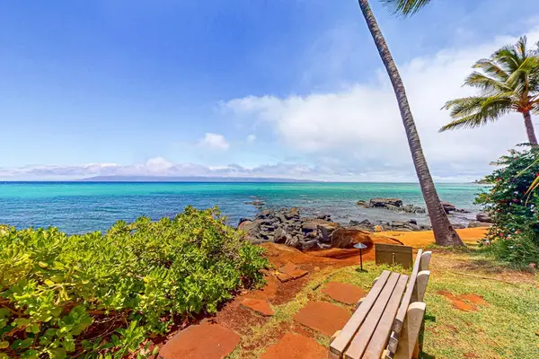 Fringed shoreline views invite memorable mornings beside crystalline waves
